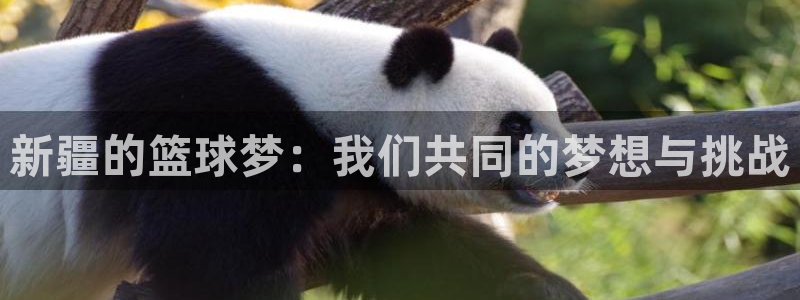 意昂5娱乐平台